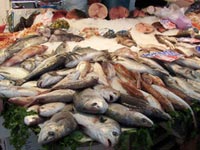 оптовый рыбный рынок